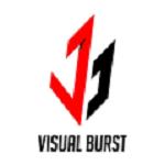 Visual Burst image 2